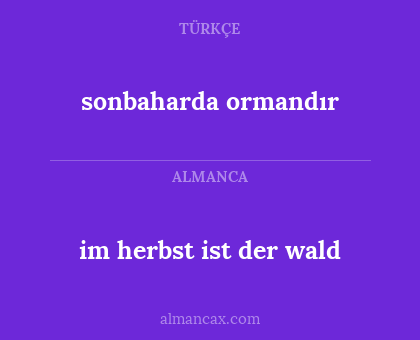 sonbaharda ormandır - im herbst ist der wald