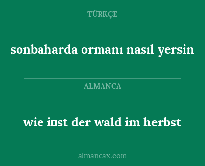 sonbaharda ormanı nasıl yersin - wie i̇st der wald im herbst