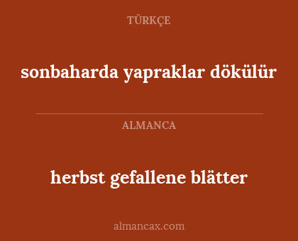 sonbaharda yapraklar dökülür - herbst gefallene blätter