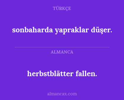 herbstblätter fallen. - sonbaharda yapraklar düşer.