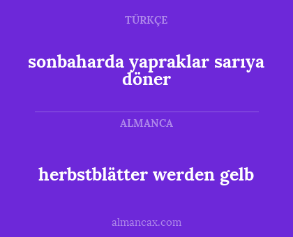 herbstblätter werden gelb - sonbaharda yapraklar sarıya döner