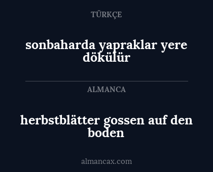 herbstblätter gossen auf den boden - sonbaharda yapraklar yere dökülür