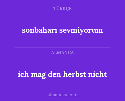 sonbaharı sevmiyorum - ich mag den herbst nicht