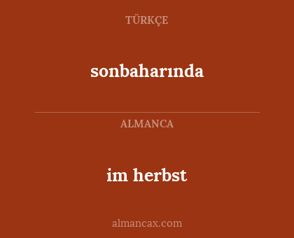 im herbst - sonbaharında