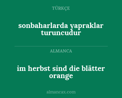 sonbaharlarda yapraklar turuncudur - im herbst sind die blätter orange