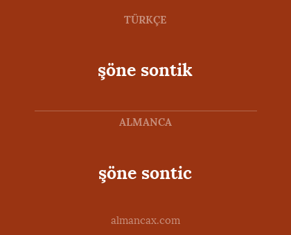 şöne sontic - şöne sontik