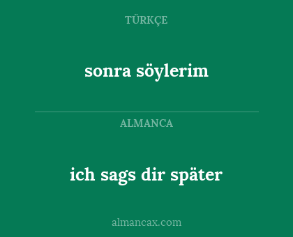 ich sags dir später - sonra söylerim