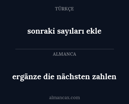 ergänze die nächsten zahlen - sonraki sayıları ekle