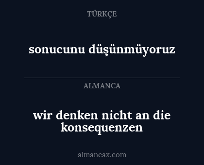 wir denken nicht an die konsequenzen - sonucunu düşünmüyoruz
