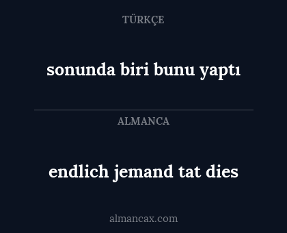 endlich jemand tat dies - sonunda biri bunu yaptı