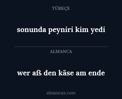 wer aß den käse am ende - sonunda peyniri kim yedi