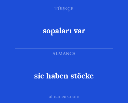 sie haben stöcke - sopaları var