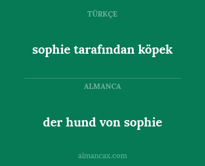 sophie tarafından köpek - der hund von sophie