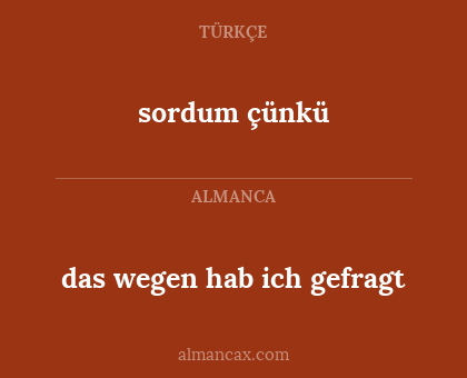 sordum çünkü - das wegen hab ich gefragt