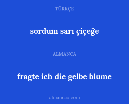 sordum sarı çiçeğe - fragte ich die gelbe blume