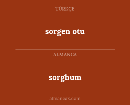 sorgen otu - sorghum