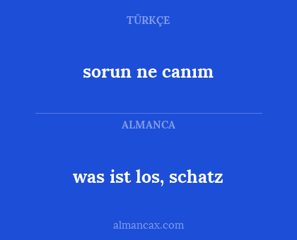 was ist los, schatz - sorun ne canım