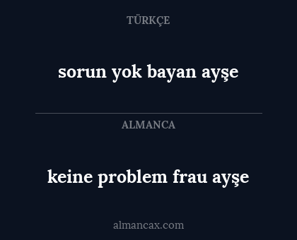 keine problem frau ayşe - sorun yok bayan ayşe
