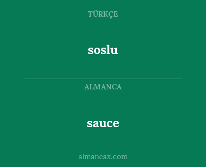sauce - soslu
