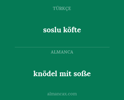 knödel mit soße - soslu köfte