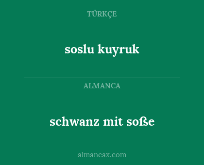 schwanz mit soße - soslu kuyruk