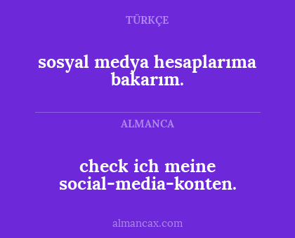 check ich meine social-media-konten. - sosyal medya hesaplarıma bakarım.