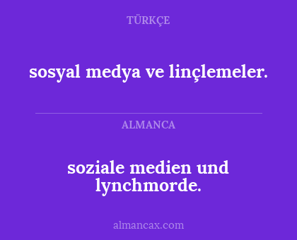 soziale medien und lynchmorde. - sosyal medya ve linçlemeler.