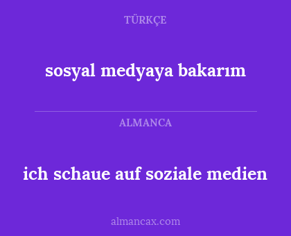 ich schaue auf soziale medien - sosyal medyaya bakarım
