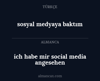 sosyal medyaya baktım - ich habe mir social media angesehen