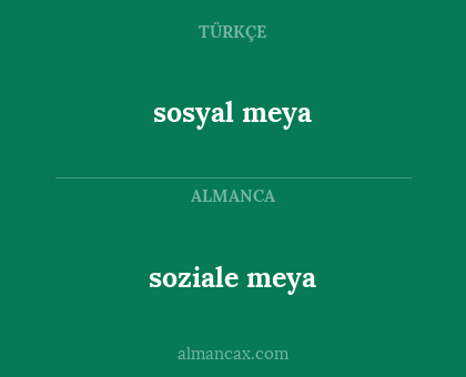 sosyal meya - soziale meya