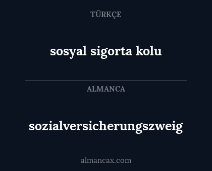 sosyal sigorta kolu - sozialversicherungszweig