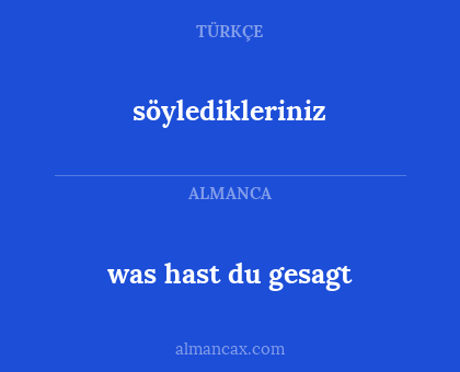 söyledikleriniz - was hast du gesagt