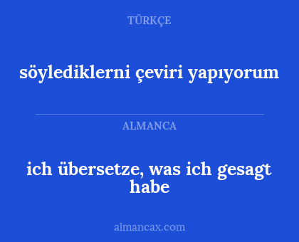 söylediklerni çeviri yapıyorum - ich übersetze, was ich gesagt habe