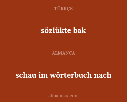 sözlükte bak - schau im wörterbuch nach