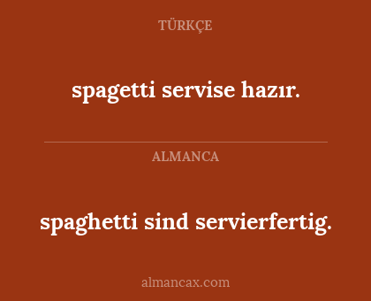 spaghetti sind servierfertig. - spagetti servise hazır.