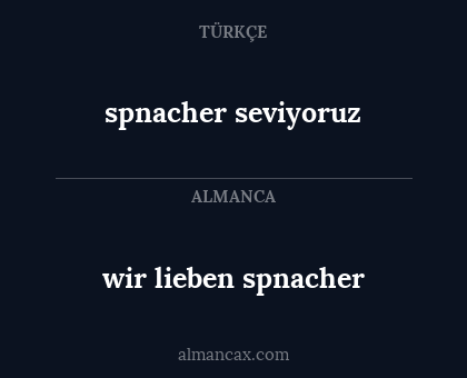 wir lieben spnacher - spnacher seviyoruz