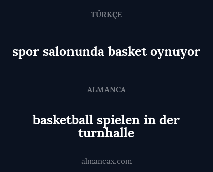 basketball spielen in der turnhalle - spor salonunda basket oynuyor