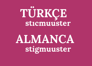 st%C4%B1cmuuster-stigmuuster.png