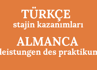 stajin+kazan%C4%B1mlar%C4%B1-leistungen+des+praktikums.png