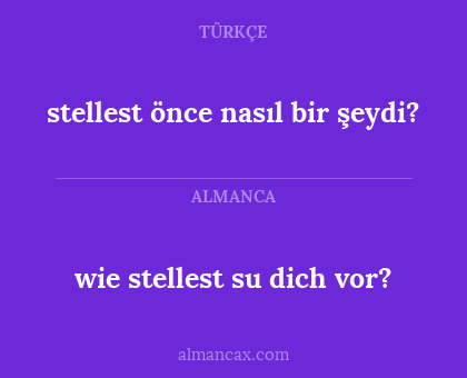 wie stellest su dich vor? - stellest önce nasıl bir şeydi?
