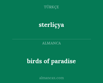 sterliçya - birds of paradise