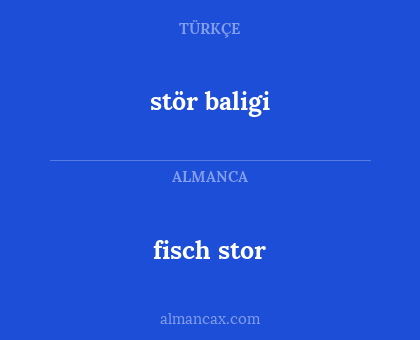 fisch stor - stör baligi