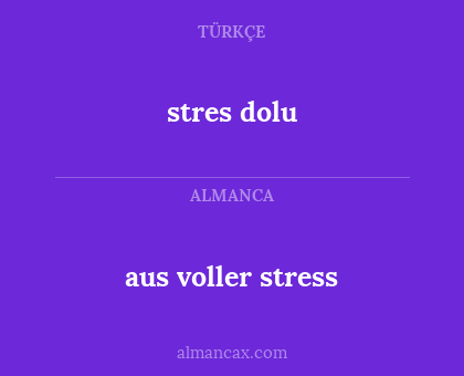 stres dolu - aus voller stress