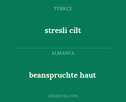beanspruchte haut - stresli cilt