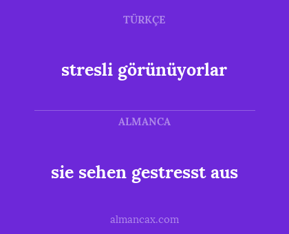 stresli görünüyorlar - sie sehen gestresst aus