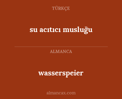 su acıtıcı musluğu - wasserspeier