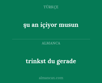 trinkst du gerade - şu an içiyor musun