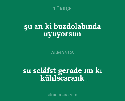 su scläfst gerade ım ki kühlscsrank - şu an ki buzdolabında uyuyorsun
