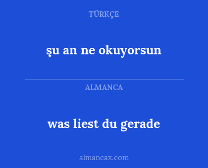 was liest du gerade - şu an ne okuyorsun