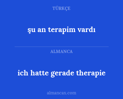 şu an terapim vardı - ich hatte gerade therapie